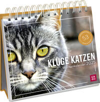 Wochenkalender 2025: Kluge Katzen