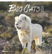 Alpha Edition - Big Cats Kalender 2026 – Wandkalender 30x30 cm – Für Wildtier- & Naturfreunde – 12 beeindruckende Fotografien von Raubkatzen, viel Platz für Notizen, mit Feiertagen & Ferienterminen