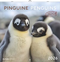 Alpha Edition - Pinguine Kalender 2026 – Broschürenkalender 30×30 cm (30×60 geöffnet) mit 12 Tiermotiven, Wandkalender mit Platz für Notizen, perfektes Geschenk für Tier- und Naturfreunde