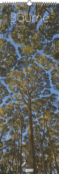 DUMONT - Bäume 2026 – Wandkalender King-Size 34×98 cm mit 12 Fotografien von Bäumen weltweit, Naturkalender für Naturliebhaber & Baumfreunde
