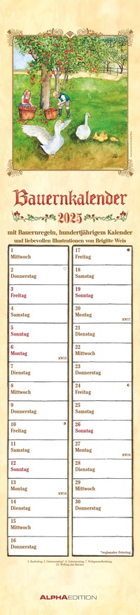 Alpha Edition - Bauernkalender 2026 – Streifenkalender 11,3x49,5 cm – Mit 100-jährigem Kalender & Bauernregeln – Deutsches Kalendarium – Mit Feiertagen (DE/AT/CH) & Mondphasen