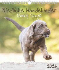 Alpha Edition - Niedliche Hundekinder Kalender 2026 – Wandkalender 30×34 cm mit 12 Welpenmotiven & 4-sprachigem Kalendarium, Tierkalender mit Spiralbindung, perfektes Geschenk für Hundefreunde