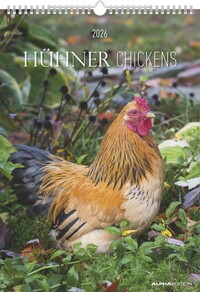Alpha Edition - Hühner 2026 – Wandkalender A3 (30×42 cm) mit 12 liebevollen Fotografien verschiedener Hühnerrassen, dekorativer Bauernhof-Kalender für Tierliebhaber, Hobby-Bauern & Landleben-Fans