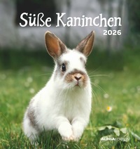 Alpha Edition - Süße Kaninchen 2026 – Postkartenkalender 16×17 cm mit 53 zauberhaften Kaninchenmotiven, FSC-Papier, dekorativer Tisch- & Wandkalender zum Verschicken, Sammeln & Verschenken