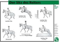 Der Sitz des Reiters