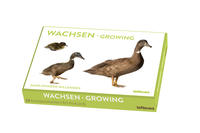 Wachsen, Kunstkartenbox