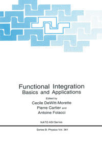 Functional Integration