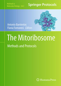 The Mitoribosome