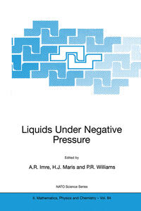 Liquids Under Negative Pressure