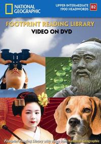 DVD Paket Niveau 5 