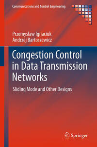 Congestion Control in Data Transmission Networks