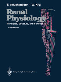 Renal Physiology