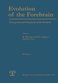 Evolution of the Forebrain