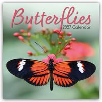 Butterflies – Schmetterlinge 2027 – 16-Monatskalender