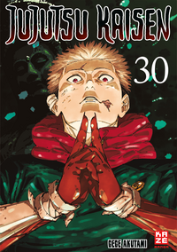 Jujutsu Kaisen – Band 30 (Finale)