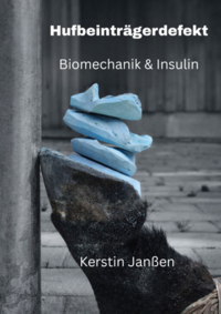 Hufbeinträgerdefekt