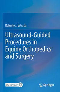 Ultrasound-Guided Procedures in Equine Orthopedics and Surgery