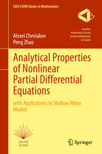 Analytical Properties of Nonlinear Partial Differential Equations