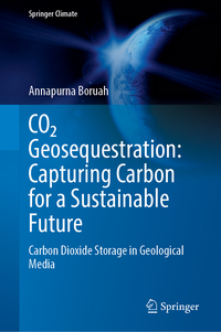 CO₂ Geosequestration: Capturing Carbon for a Sustainable Future