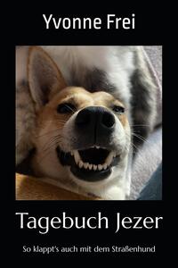 Tagebuch Jezer