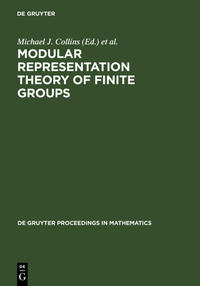 Modular Representation Theory of Finite Groups