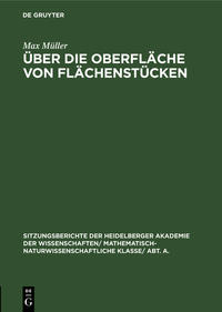 Über die Oberfläche von Flächenstücken