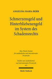 Schmerzensgeld und Hinterbliebenengeld im System des Schadensrechts