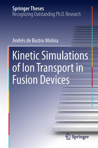 Kinetic Simulations of Ion Transport in Fusion Devices