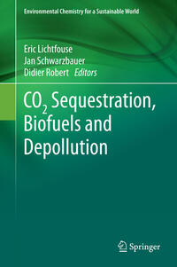 CO2 Sequestration, Biofuels and Depollution