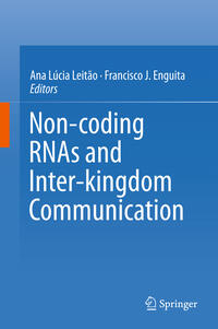 Non-coding RNAs and Inter-kingdom Communication