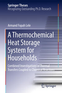 A Thermochemical Heat Storage System for Households