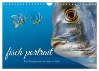 fisch portrait (Wandkalender 2025 DIN A4 quer), CALVENDO Monatskalender