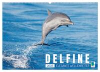 Delfine: Elegante Wellenreiter (Wandkalender 2025 DIN A2 quer), CALVENDO Monatskalender