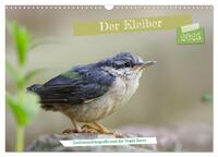 Der Kleiber - Ostfriesenfotografie und der Vogel-Zorro (Wandkalender 2025 DIN A3 quer), CALVENDO Monatskalender