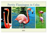 Pretty Flamingos in Cuba (Wandkalender 2025 DIN A4 quer), CALVENDO Monatskalender