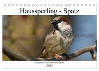 Haussperling - Spatz fotografiert von Ostfriesenfotografie (Tischkalender 2025 DIN A5 quer), CALVENDO Monatskalender