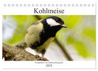 Kohlmeise - Fotografiert von Ostfriesenfotografie (Tischkalender 2025 DIN A5 quer), CALVENDO Monatskalender