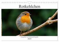 Rotkehlchen - Fotografiert von Ostfriesenfotografie (Wandkalender 2025 DIN A4 quer), CALVENDO Monatskalender