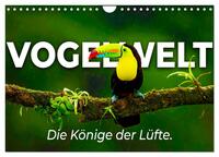 Vogelwelt - Die Könige der Lüfte. (Wandkalender 2025 DIN A4 quer), CALVENDO Monatskalender