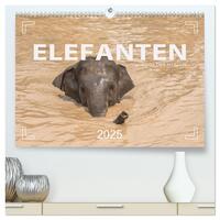 ELEFANTEN Jumbos der Herzen (hochwertiger Premium Wandkalender 2025 DIN A2 quer), Kunstdruck in Hochglanz