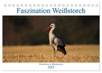 Faszination Weißstorch (Tischkalender 2025 DIN A5 quer), CALVENDO Monatskalender