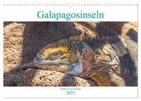 Die Galapagosinseln - Santa Cruz Island (Wandkalender 2025 DIN A3 quer), CALVENDO Monatskalender