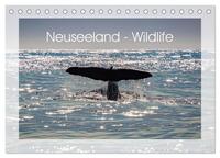 Neuseeland - Wildlife (Tischkalender 2025 DIN A5 quer), CALVENDO Monatskalender