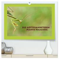 Die Gottesanbeterin Mantis Religiosa (hochwertiger Premium Wandkalender 2025 DIN A2 quer), Kunstdruck in Hochglanz