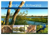 Namibia & Botswana (Wandkalender 2025 DIN A3 quer), CALVENDO Monatskalender