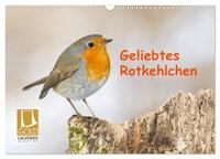 Geliebtes Rotkehlchen (Wandkalender 2025 DIN A3 quer), CALVENDO Monatskalender