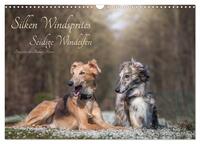 Silken Windsprites - Seidige Windelfen (Wandkalender 2025 DIN A3 quer), CALVENDO Monatskalender