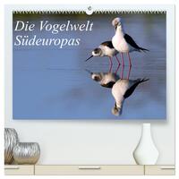 Die Vogelwelt Südeuropas (hochwertiger Premium Wandkalender 2025 DIN A2 quer), Kunstdruck in Hochglanz