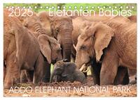 ADDO ELEPHANT NATIONAL PARK Elefanten Babies (Tischkalender 2025 DIN A5 quer), CALVENDO Monatskalender