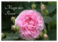 Magie der Rosen (Wandkalender 2025 DIN A2 quer), CALVENDO Monatskalender